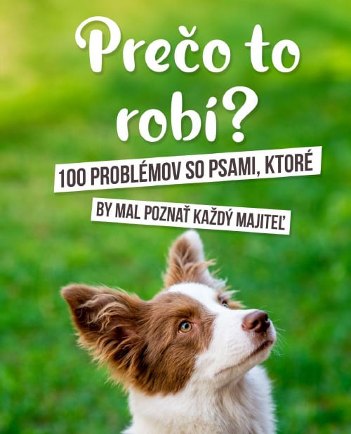 Bonusová e-kniha: Prečo to robí? 100 problémov so psami