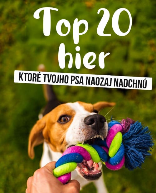 Bonusová e-kniha: Top 20 hier